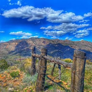 Meet your Posher, Velmaris66